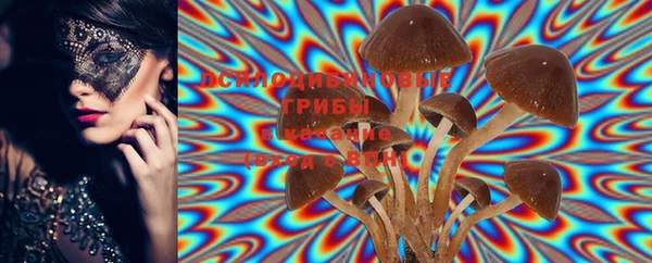MESCALINE Осинники