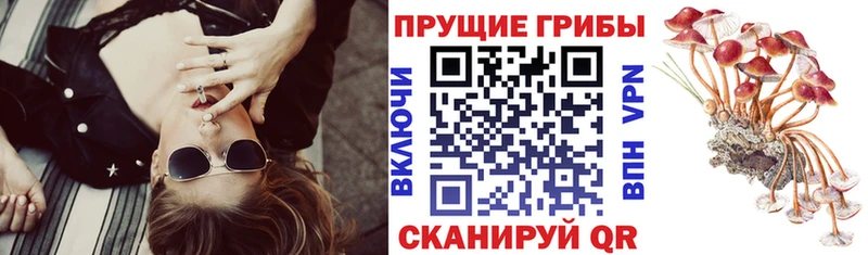 mega ТОР  наркота  Островной  Галлюциногенные грибы Magic Shrooms 